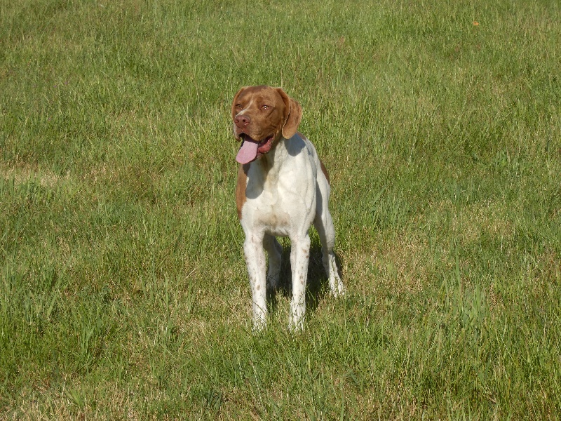 CH. Jonnas de La Balingue